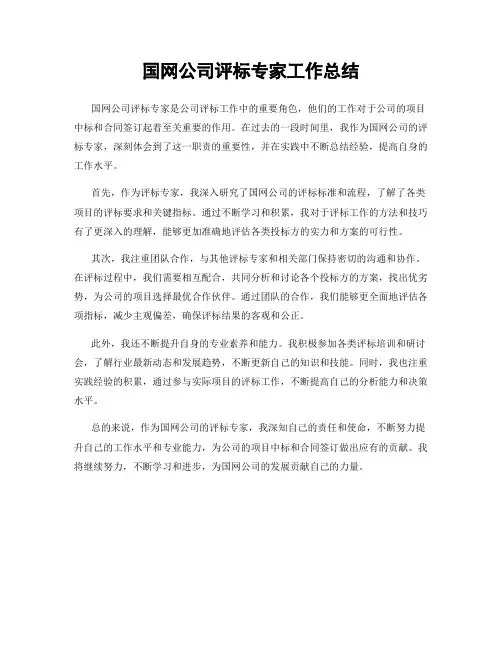 国网公司评标专家工作总结