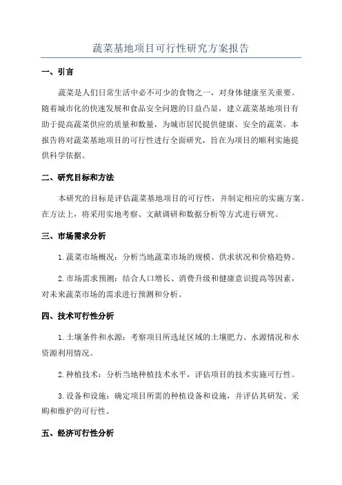 蔬菜基地项目可行性研究方案报告