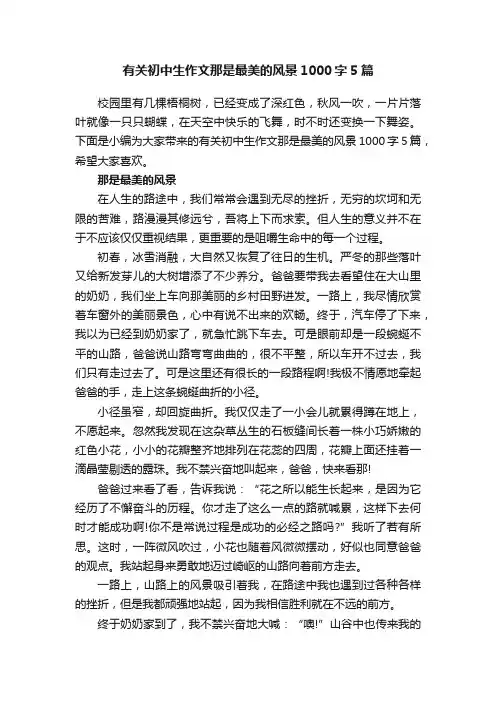 有关初中生作文那是最美的风景1000字5篇