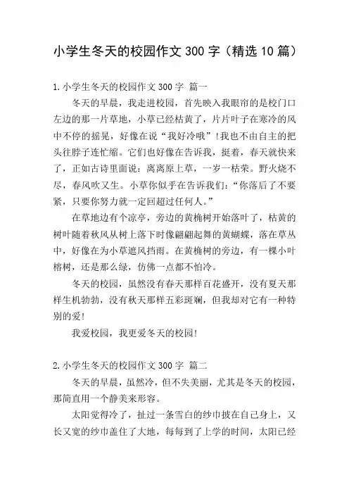 小学生冬天的校园作文300字(精选10篇)