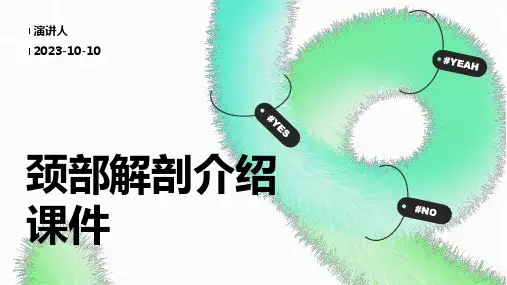 颈部解剖介绍课件