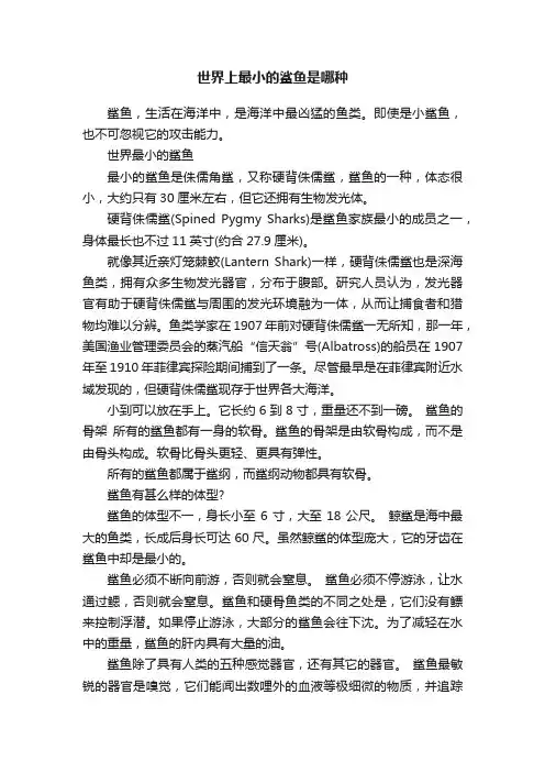 世界上最小的鲨鱼是哪种