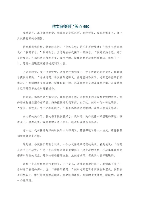 作文我得到了关心650