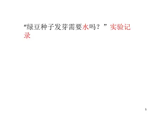 《绿豆发芽观察记录》PPT课件
