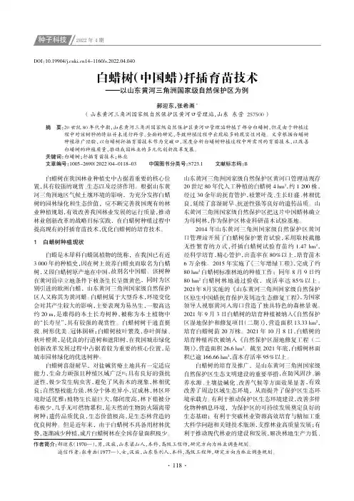 白蜡树（中国蜡）扦插育苗技术——以山东黄河三角洲国家级自然保护区为例