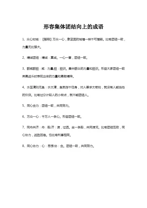 形容集体团结向上的成语