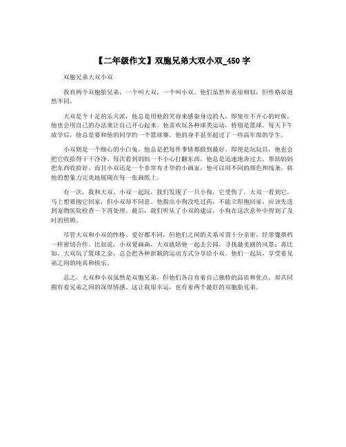 【二年级作文】双胞兄弟大双小双_450字