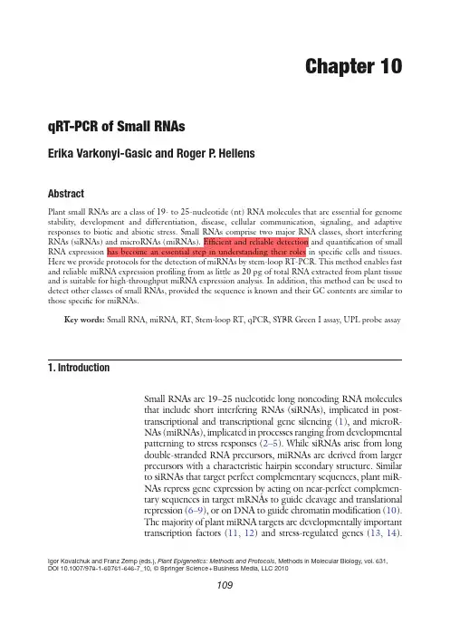 qRT-PCR of Small RNAs