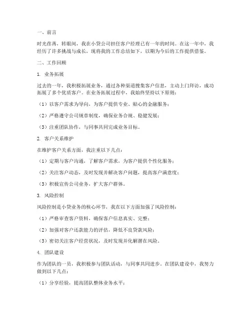 小贷客户经理工作总结报告