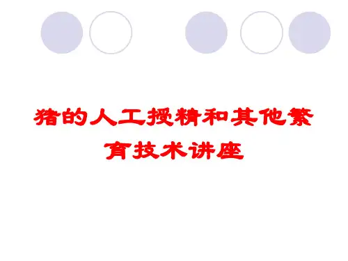猪的人工授精和其他繁育技术讲座培训课件