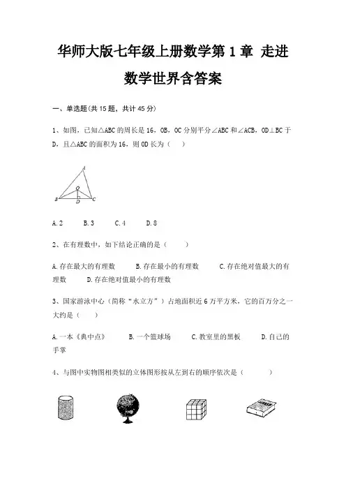 华师大版七年级上册数学第1章 走进数学世界含答案(必刷题)
