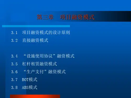 项目融资第三章精品PPT课件