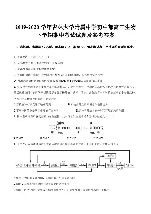 2019-2020学年吉林大学附属中学初中部高三生物下学期期中考试试题及参考答案