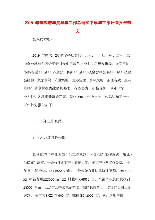 2019年镇政府年度半年工作总结和下半年工作计划报告范文