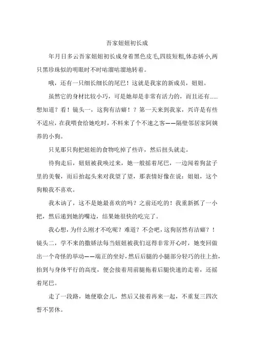 吾家妞妞初长成-作文