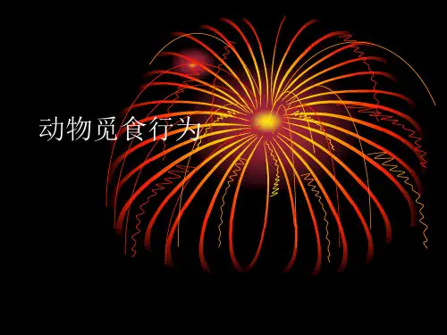 动物觅食行为