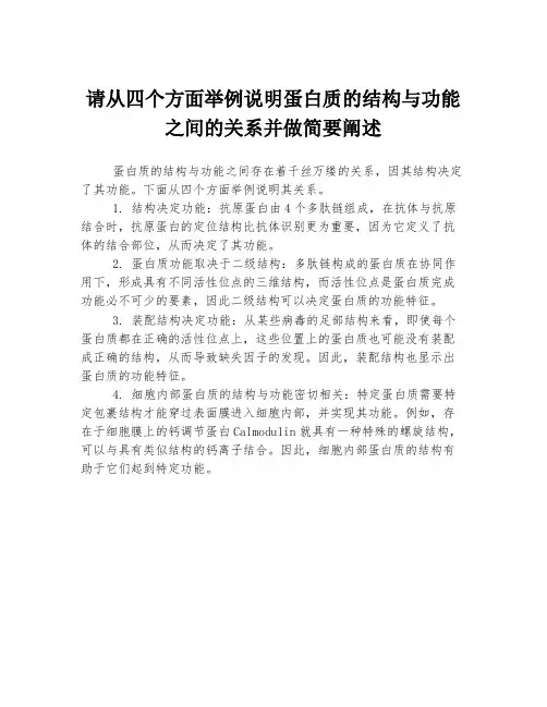请从四个方面举例说明蛋白质的结构与功能之间的关系并做简要阐述