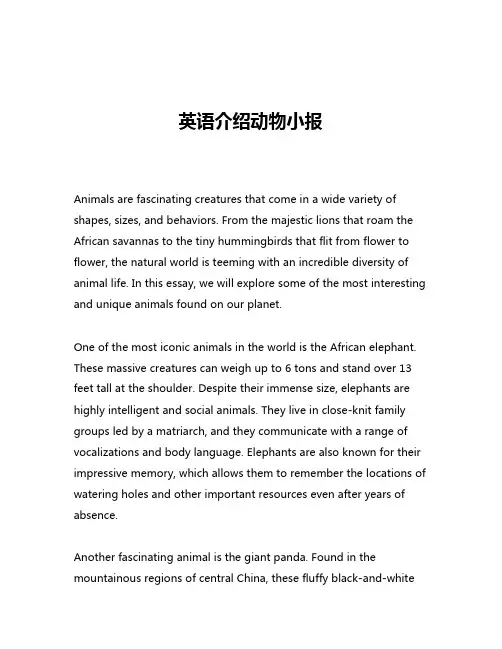 英语介绍动物小报