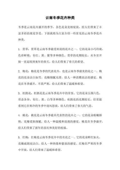 云南冬季花卉种类