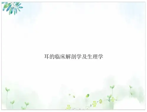 耳的临床解剖学及生理学讲课ppt课件