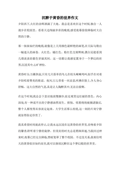 沉醉于黄昏的世界作文