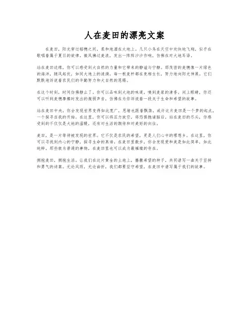 人在麦田的漂亮文案