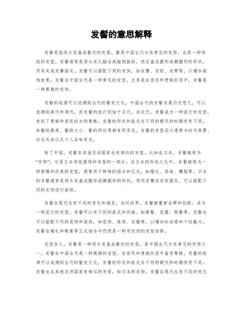 发髻的意思解释
