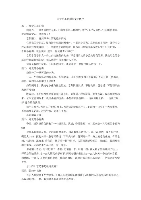可爱的小花狗作文200字优秀作文