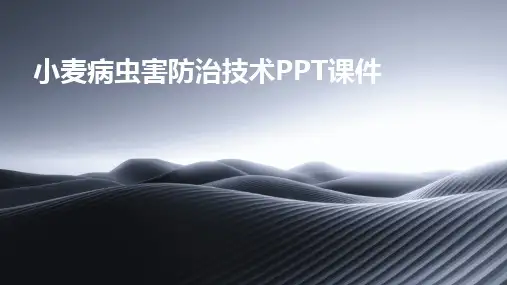 小麦病虫害防治技术PPT课件