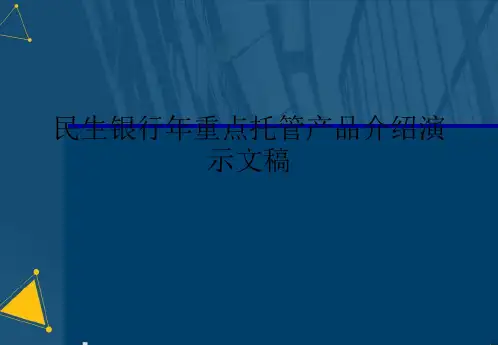 民生银行年重点托管产品介绍演示文稿
