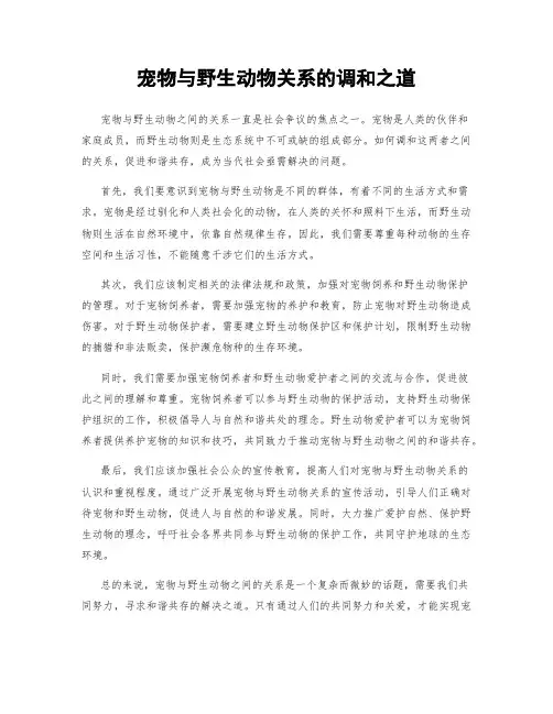 宠物与野生动物关系的调和之道