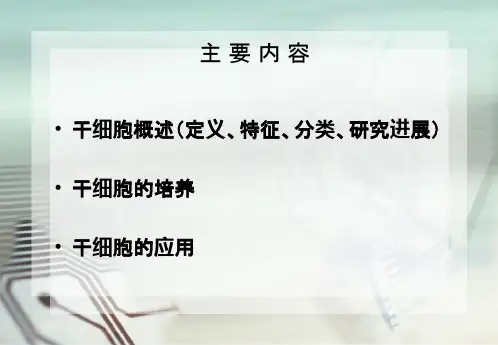 干细胞技PPT课件
