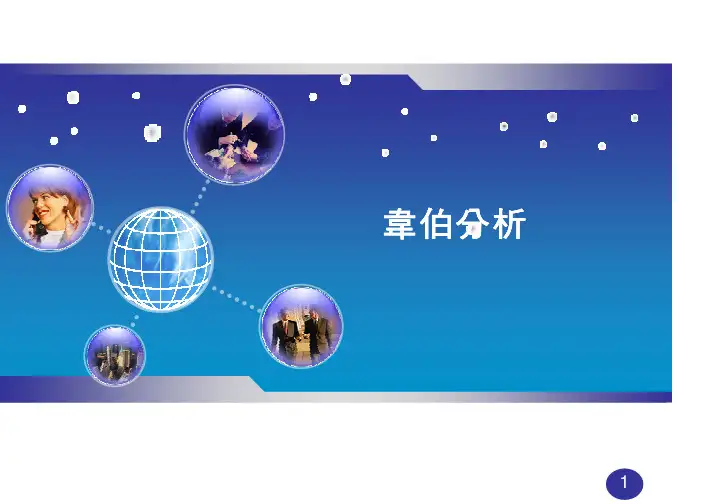 韦伯分析