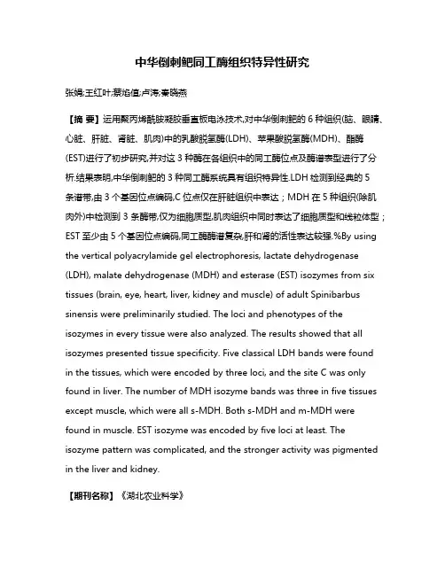 中华倒刺鲃同工酶组织特异性研究
