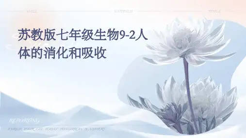 苏教版七年级生物9-2人体的消化和吸收