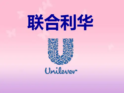 联合利华公司产品介绍