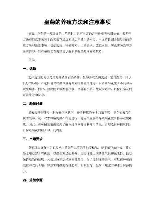 皇菊的养殖方法和注意事项