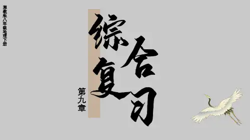 第九章 综合复习 (课件17张)-(2024年)湘教版八年级地理下册