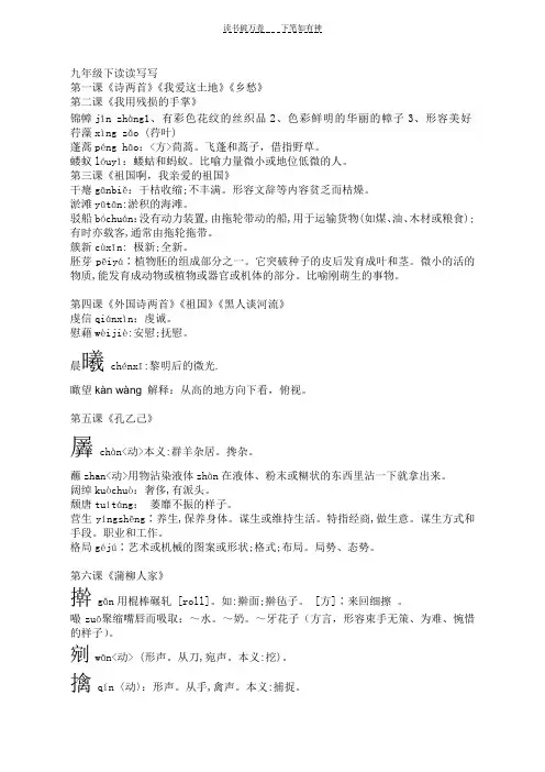 人教版语文九年级下课后生字词