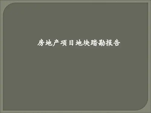 房地产项目地块踏勘报告