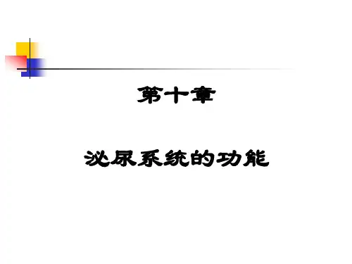 肾脏的排泄功能 (人体解剖生理学)