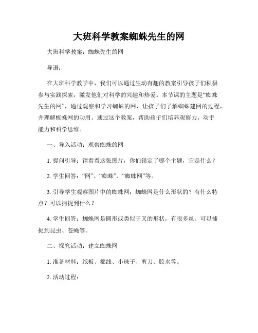 大班科学教案蜘蛛先生的网