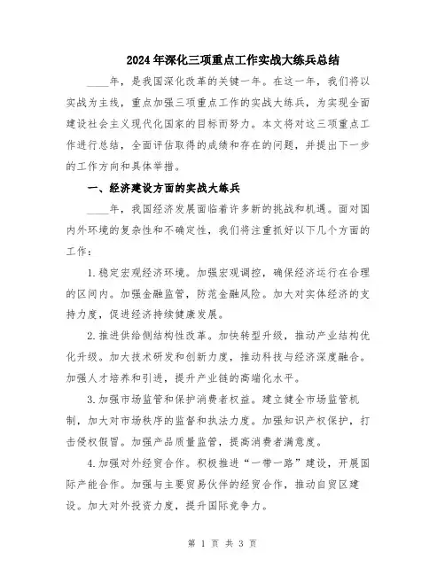 2024年深化三项重点工作实战大练兵总结
