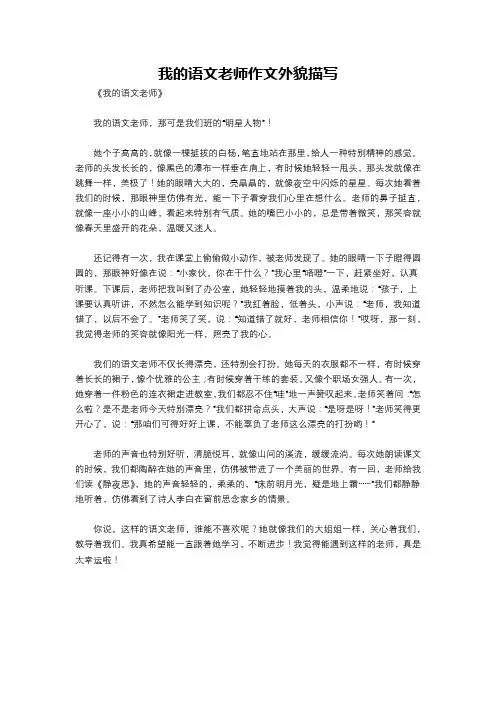 我的语文老师作文外貌描写