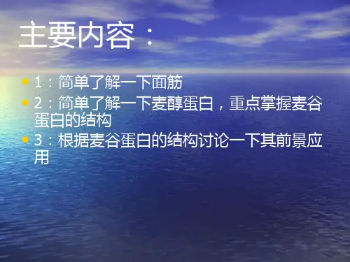 麦谷蛋白ppt课件