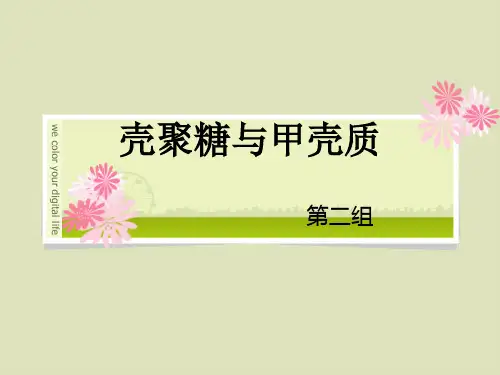 甲壳质与壳聚糖