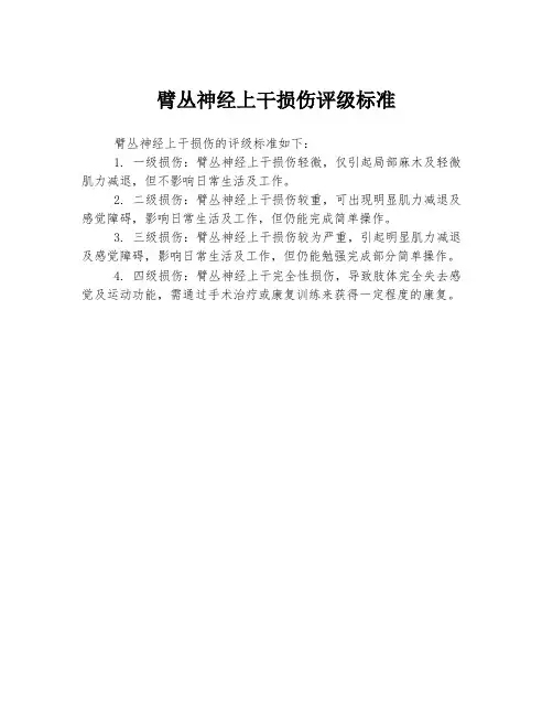 臂丛神经上干损伤评级标准