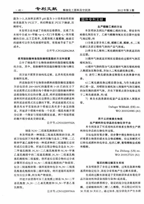 国外专利文献