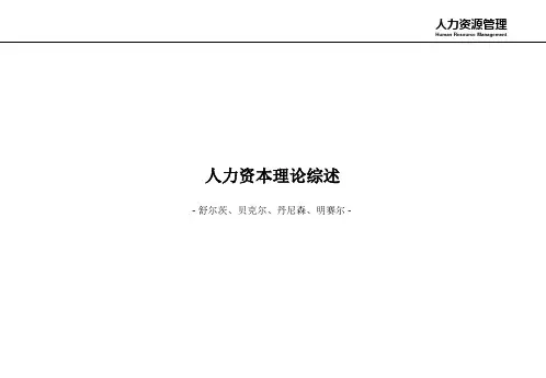 HRM理论 - 人力资本理论综述 (备注页含更多信息)原创