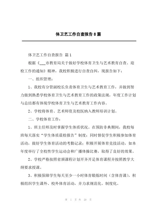 体卫艺工作自查报告8篇